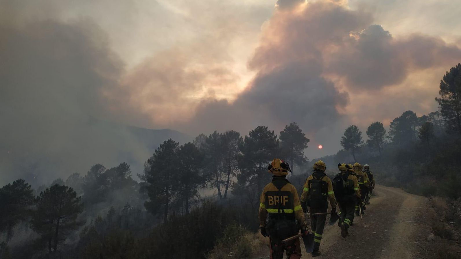 Los efectivos continúan trabajando en la zona para controlar el incendio de Las Hurdes.