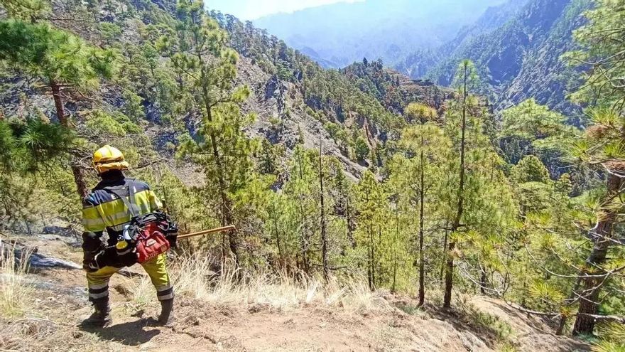 El Gobierno canario activa la alerta por riesgo de incendios forestales