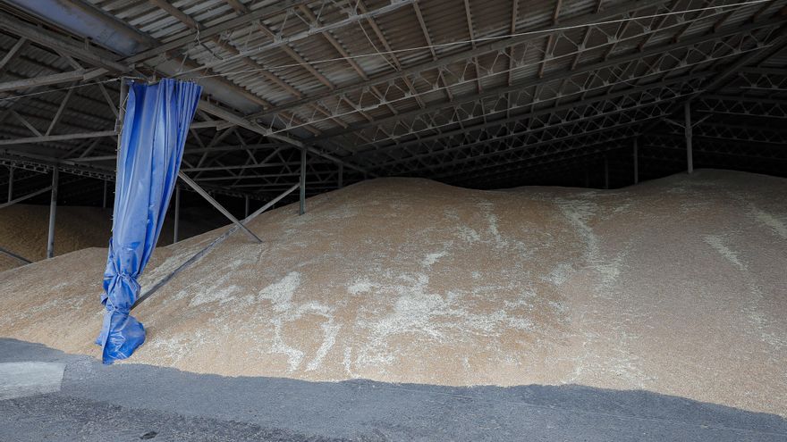 La ONU ve avances en las conversaciones entre Ucrania y Rusia para desbloquear la exportación de cereales