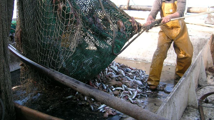 Pesca de arrastre.