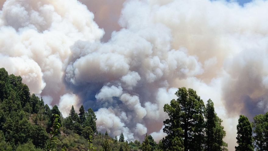 Gran columna de humo del incendio en La Palma