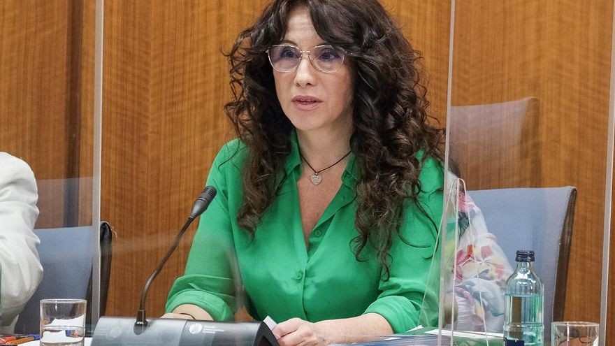 La Junta se corrige con la atención a menores llegados a Ceuta: de estar "esperándolos" a "Andalucía no puede acoger a más"