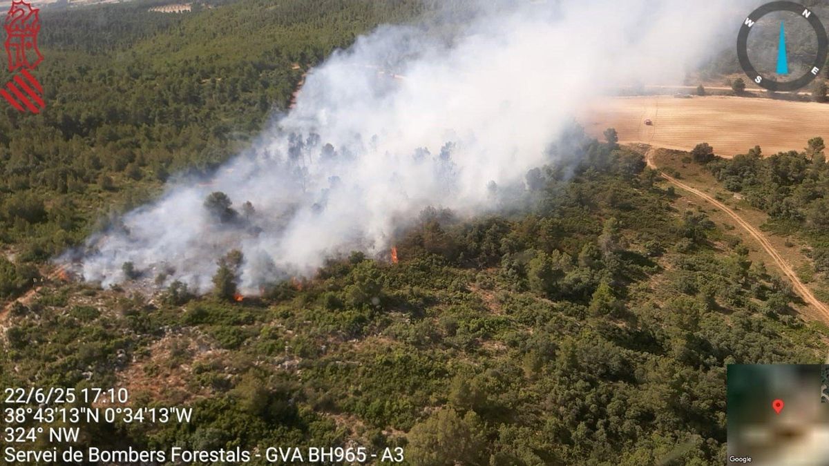 Incendio forestal próximo a la Sierra Mariola en Bocairent.