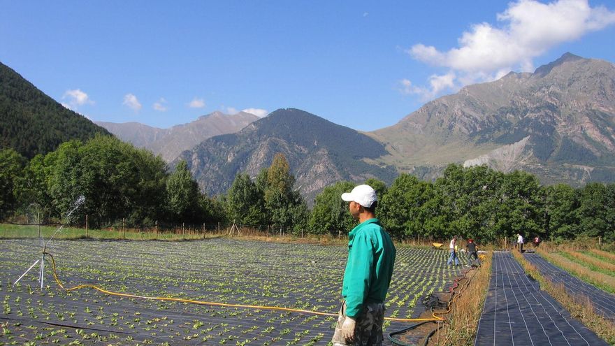 Castilla-La Mancha pagará en junio cien millones de euros de la campaña de la PAC 2024