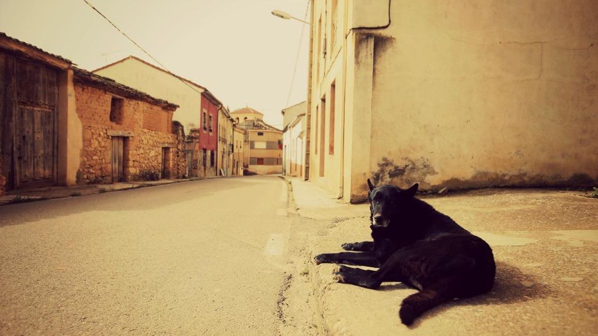 Sólo seis provincias pierden población en España en el último año, y León y Zamora son dos de ellas
