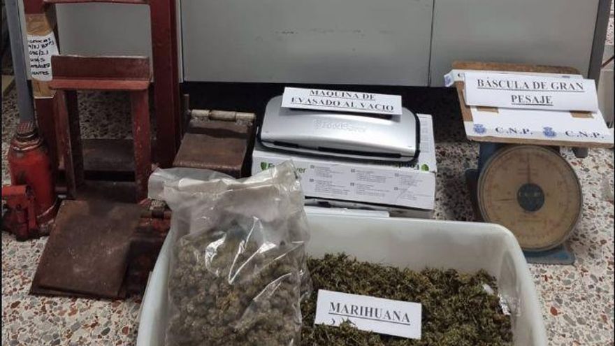 Drogas intervenidas a la banda desarticulada en Tenerife