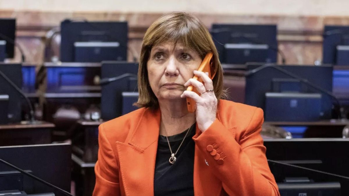 Bullrich cuestionó el retiro del pliego de una candidata a jueza y se lo comunicó a Milei: apelará a la “objeción de conciencia”