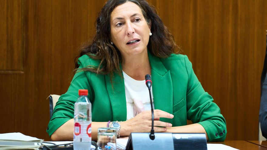 La consejera andaluza de Inclusión Social, Juventud, Familias e Igualdad, Loles López, este viernes