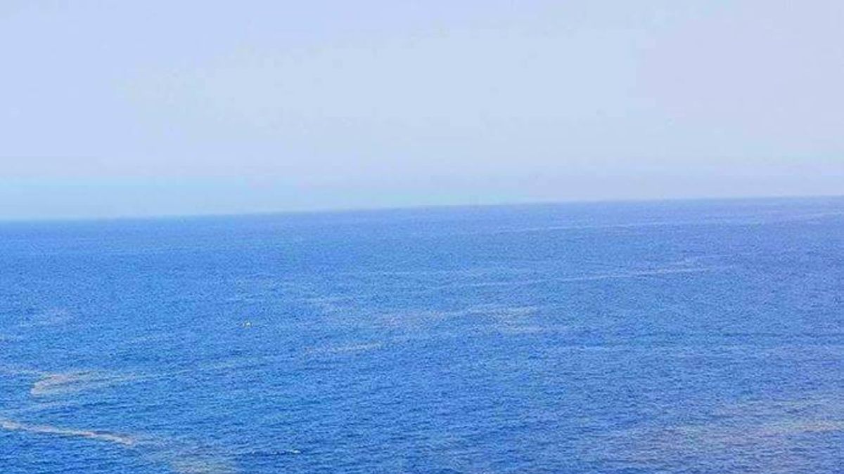 Las microalgas forman parte del paisaje costero de Tenerife durante el fin de semana