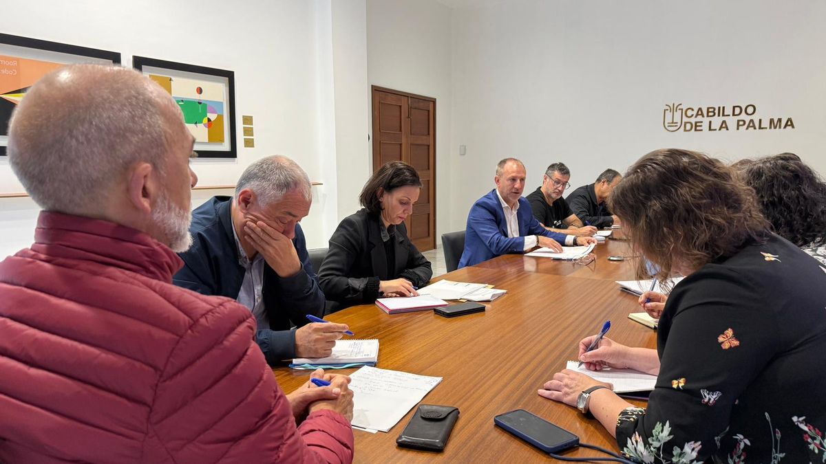 El Cabildo prepara las bases para atender a las empresas y colectivos que sufran afecciones por la crisis de Oriente Medio