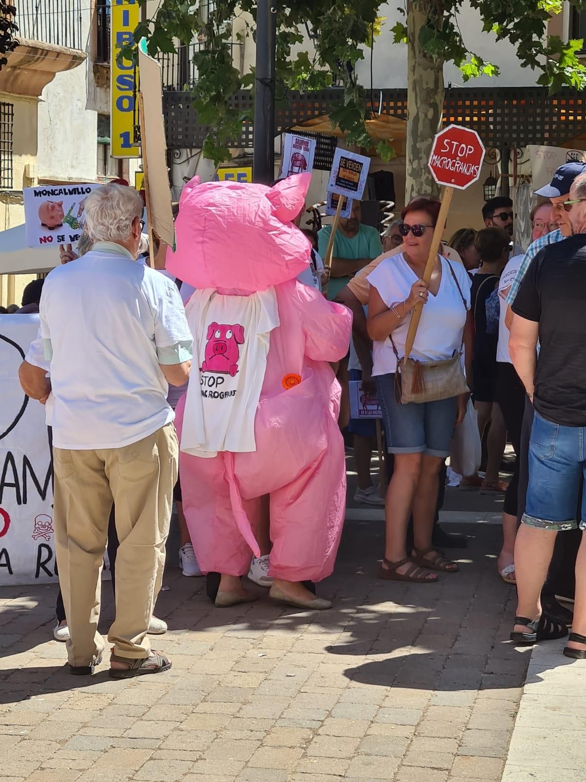 Foto: Pueblos Vivos Cuenca
