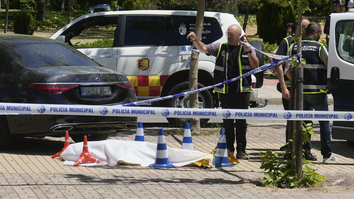 Detenido en Alemania el presunto asesino del expolítico ucraniano Andréi Portnov en Pozuelo de Alarcón