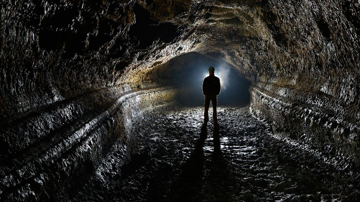 Con 27.000 años de antigüedad, el tubo volcánico más largo de Europa está en Canarias y alberga 190 especies de plantas, animales y hongos