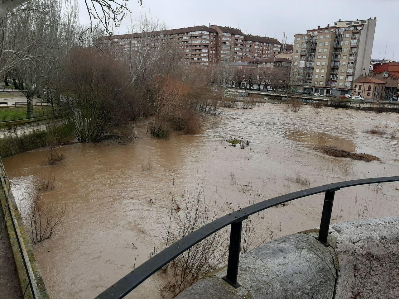 Imagen de la inmensa riada del Bernesga bajo el puente de San Marcos tras las últimas lluvias.