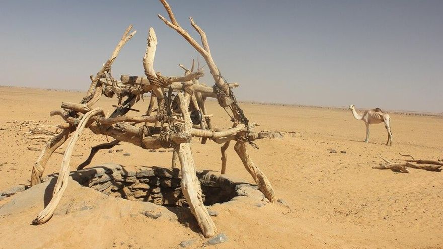 Arqueólogos descubren un enterramiento singular de Kerma en una zona poco explorada de Sudán