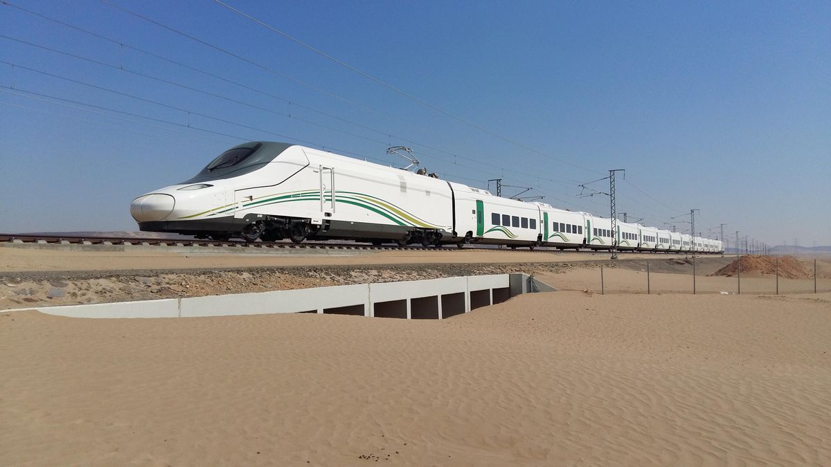 La retirada de la circulación de más trenes de Talgo puede llevar a Renfe a reducir su oferta