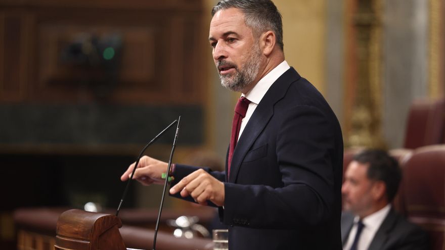 El presidente de Vox, Santiago Abascal, interviene durante una sesión plenaria en el Congreso de los Diputados.