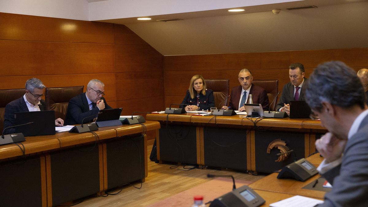 El consejero de Fomento, Vivienda, Ordenación del Territorio y Medio Ambiente, Roberto Media, presenta en comisión los presupuestos de su departamento para 2026
