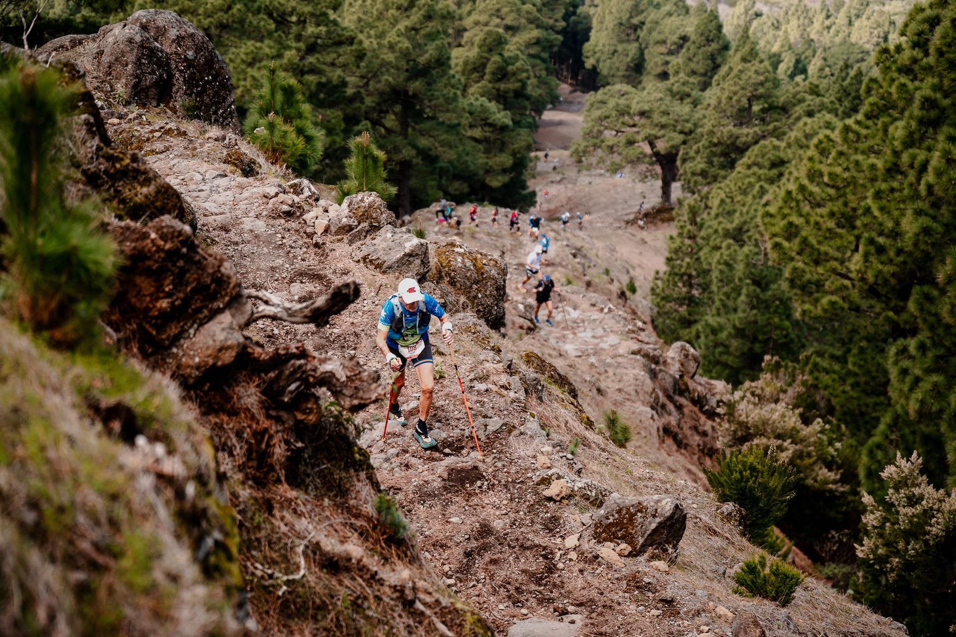 Reventón El Paso Fred.Olsen Express 2026.