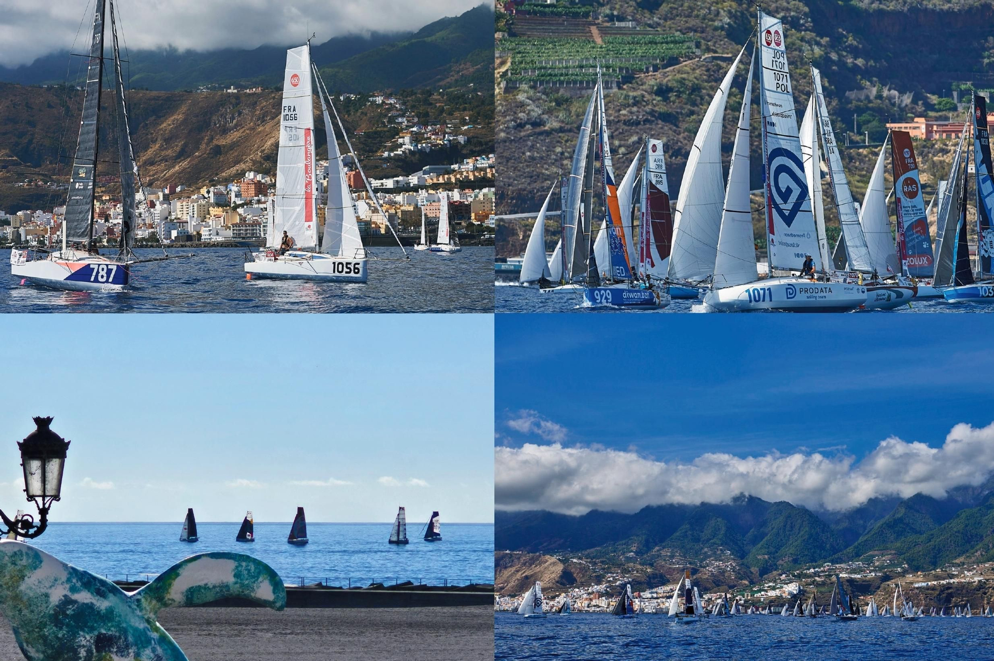 Estampas de l Regata Internacional Trasatlántica La Boulangère Mini Transat 2023 en La Palma.