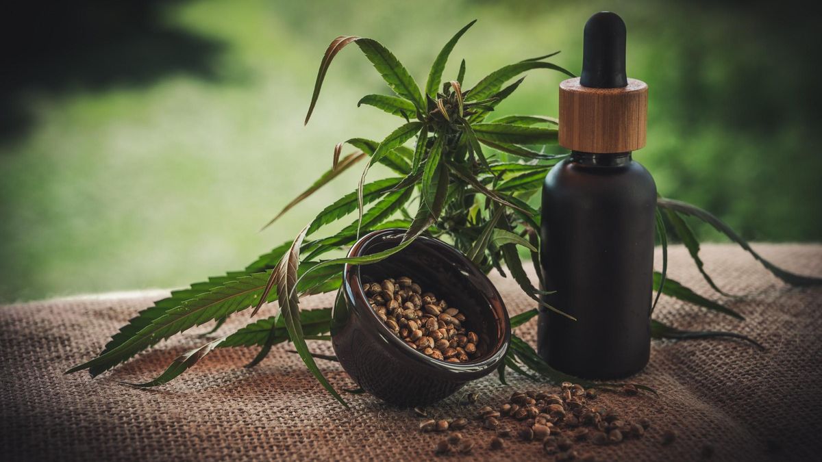 CBD para descansar en otoño, ¿por qué puede ser bastante efectivo?