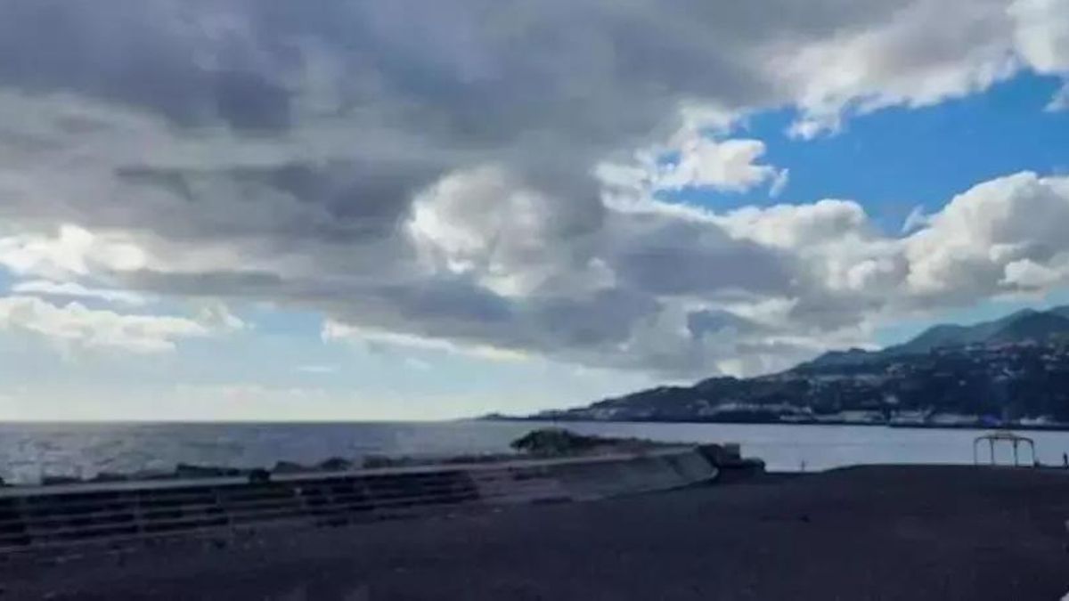 El Partido Animalista respalda la acción ciudadana por una playa con zona habilitada para mascotas en la capital