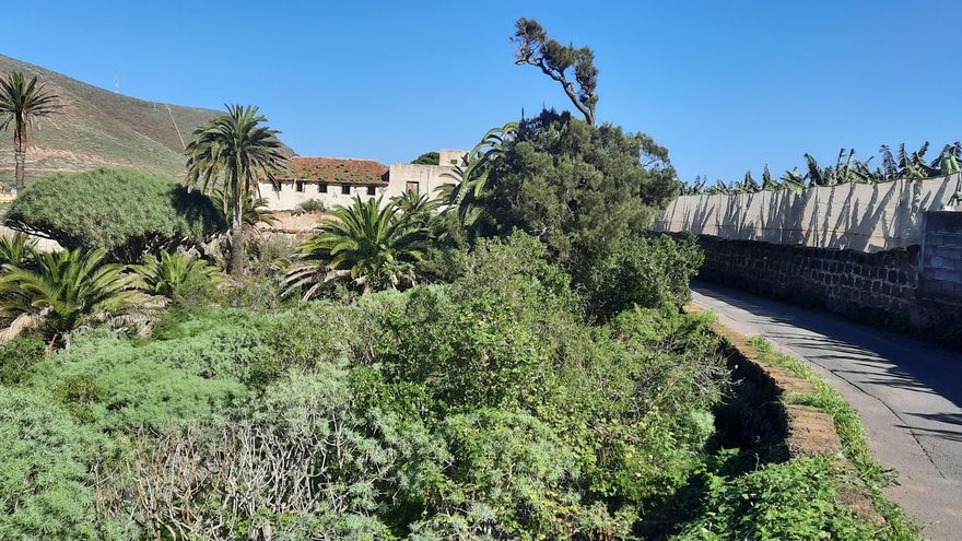 Historiadores de la ULL rescatan del olvido cerca de un centenar haciendas vitícolas de los siglos XVI y XVII