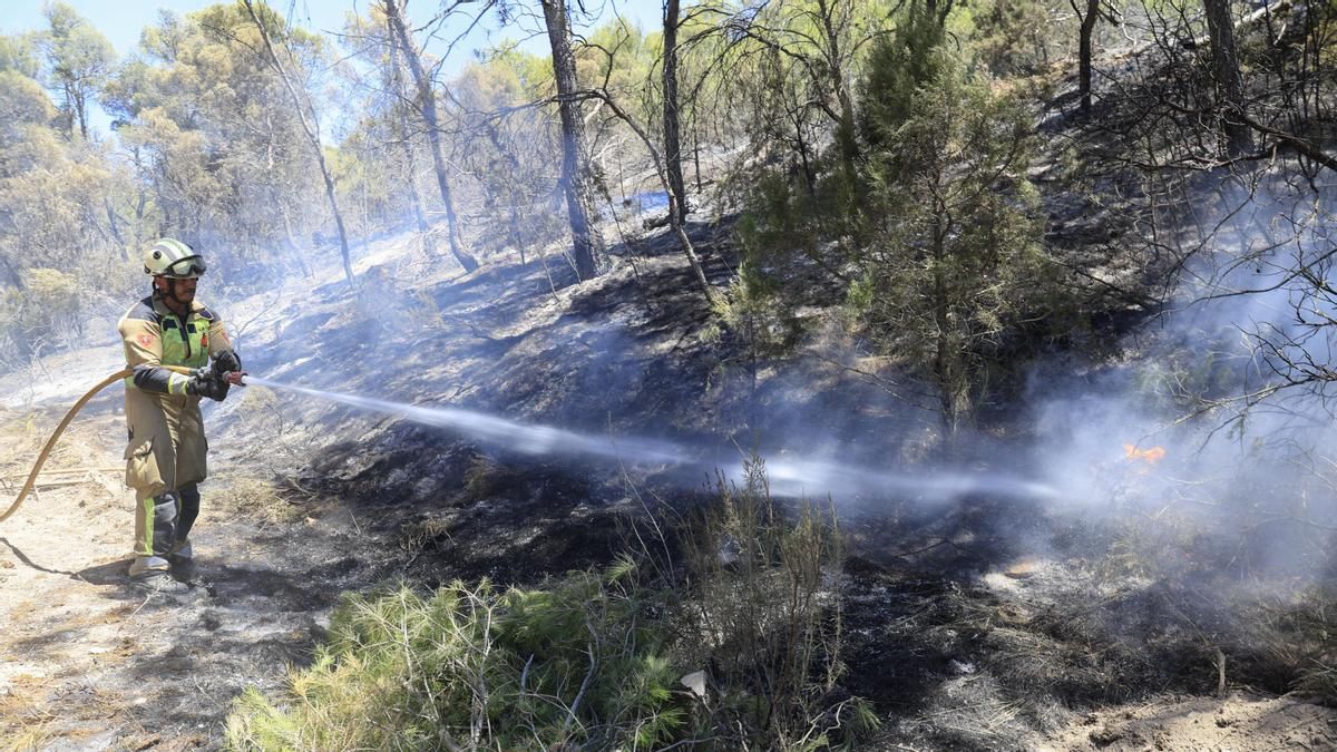 Aragón solicita la zona catastrófica para Leciñena, Robres y Alcubierre por el incendio forestal