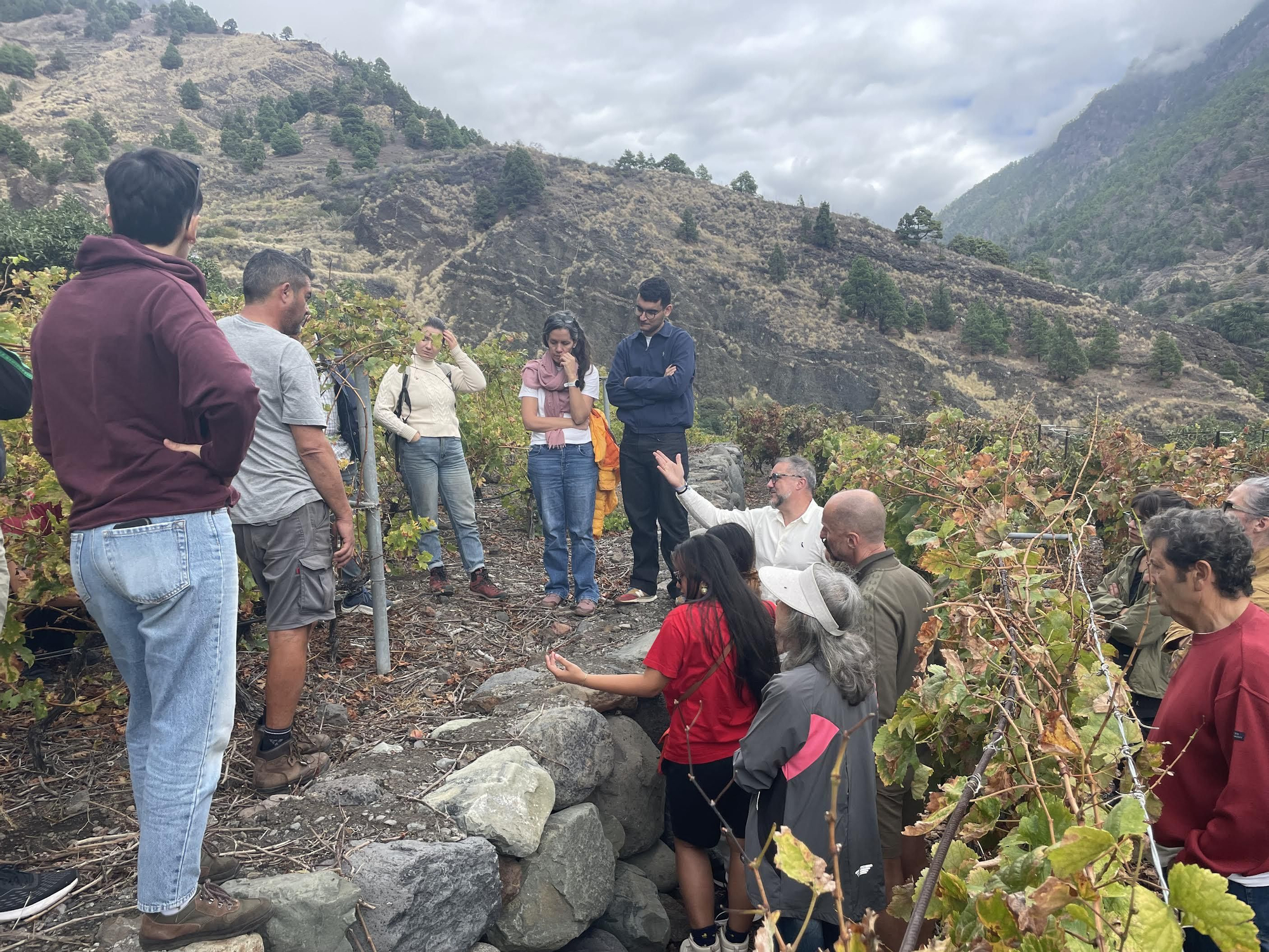 La Universidad de Otoño de La Palma impulsa la formación en Viticultura Regenerativa y Análisis Sensorial.