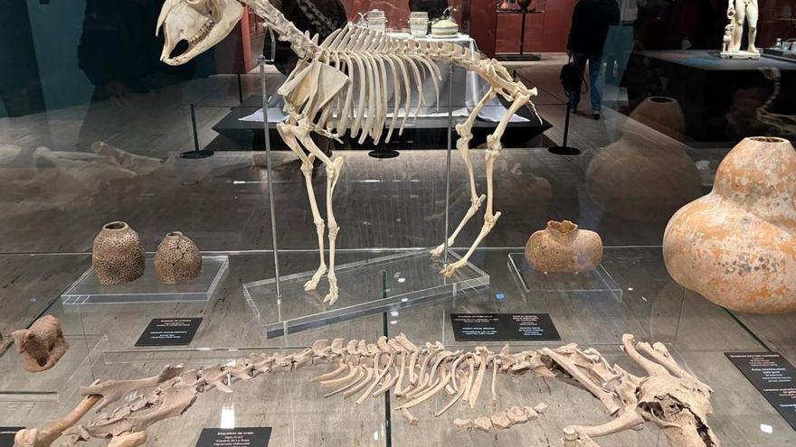 La Bicha de Balazote, una oveja del siglo XI o un botón milenario: joyas de Albacete en el Museo Arqueológico Nacional