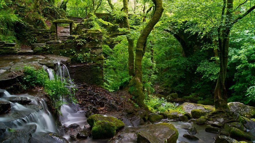 La Xunta le reclama a Endesa dos millones de euros por contaminar las aguas del río Eume