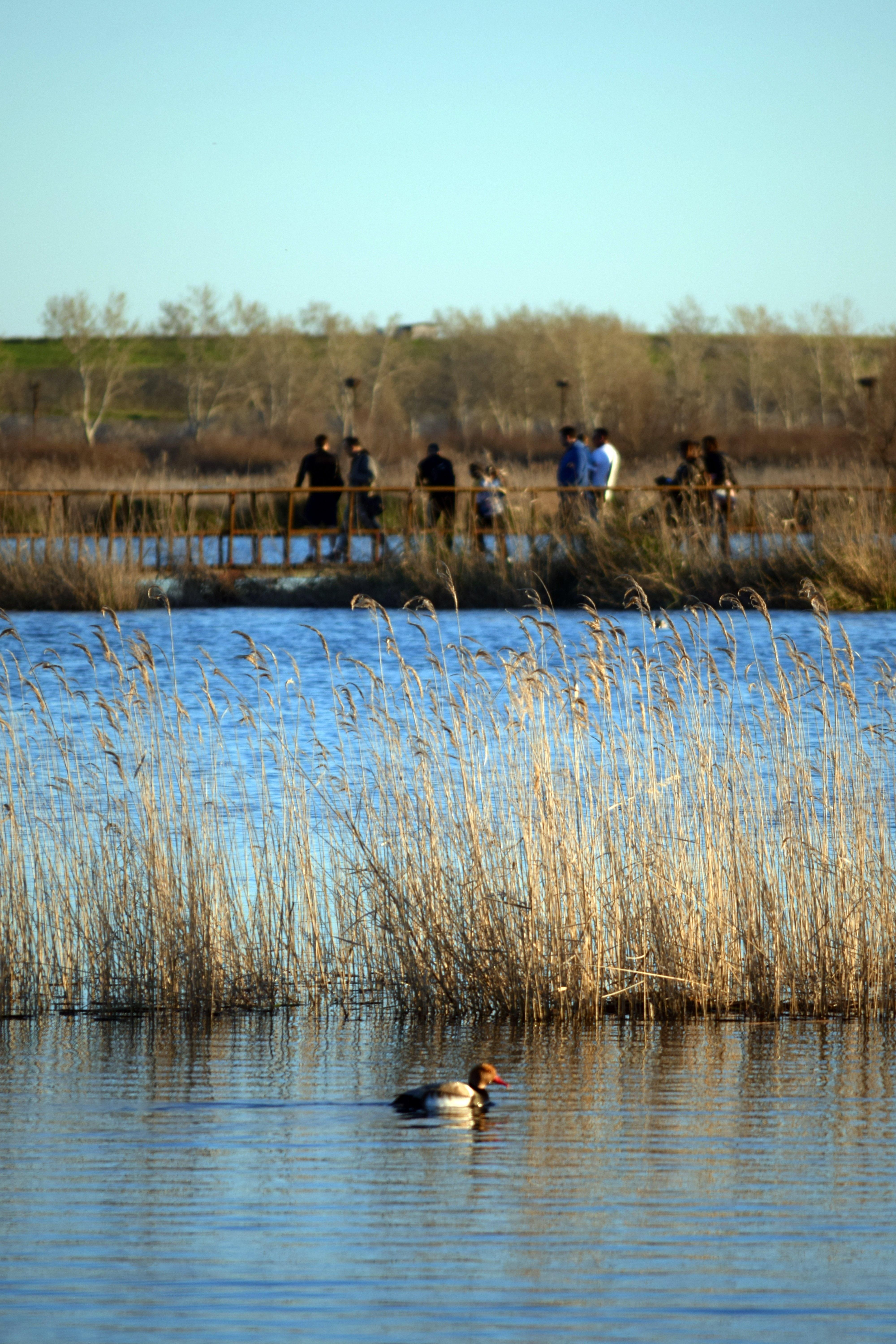 Las Tablas de Daimiel, a 15 de marzo de 2026