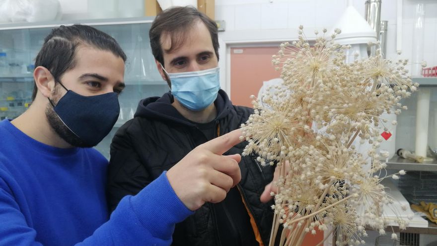 Dos de los cooperativistas de Nucleus Biolab