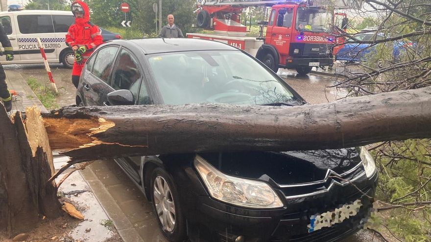 El viento deja una quincena de incidencias en Córdoba por caídas de árboles, ramas, vallas y un muro