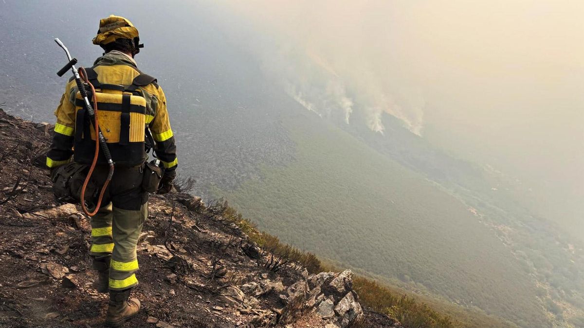 Un bombero forestal observa un foco de un incendio que está siendo controlado.