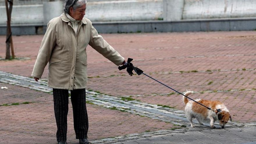 Un ataque informático afecta a los datos personales de los usuarios del Registro de animales de compañía de Cantabria