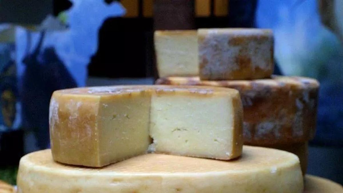 Un estudio que señala que la formación del consumidor refuerza la valorización de los quesos de cabra canarios