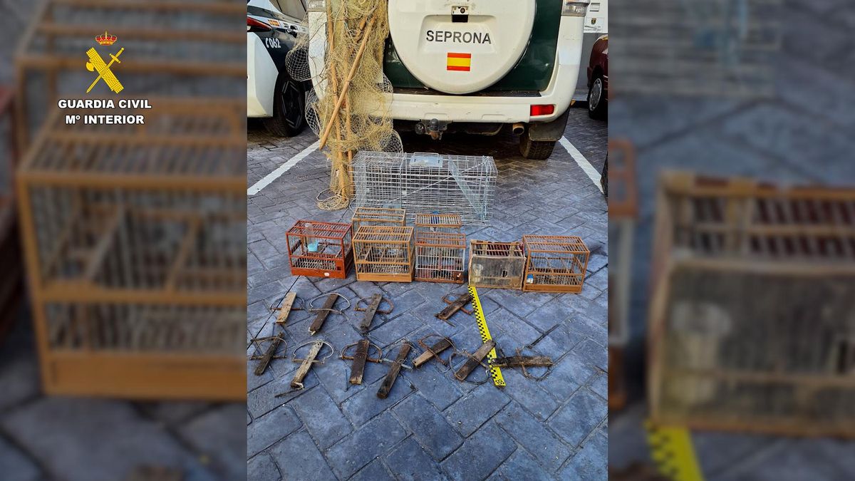 Investigado por capturar aves con pegamento en los árboles en Talavera de la Reina