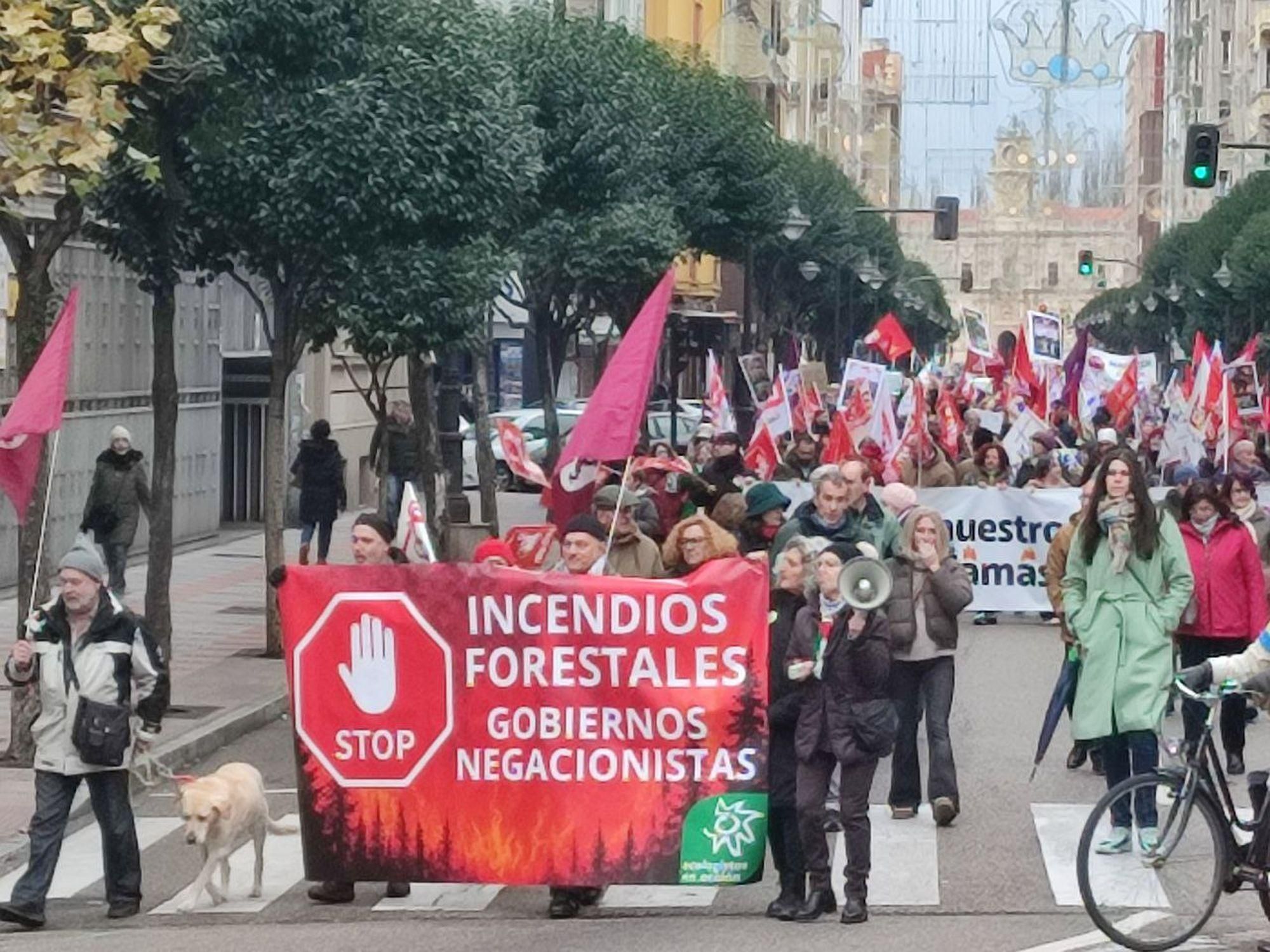 Manifestación en León contra las políticas de incendios forestales de la Junta