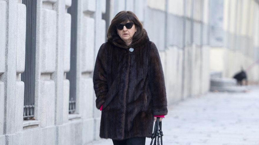 The chief prosecutor of Madrid says in the Supreme Court that she believes that the leak of the email of Ayuso's partner came from the Prosecutor's Office