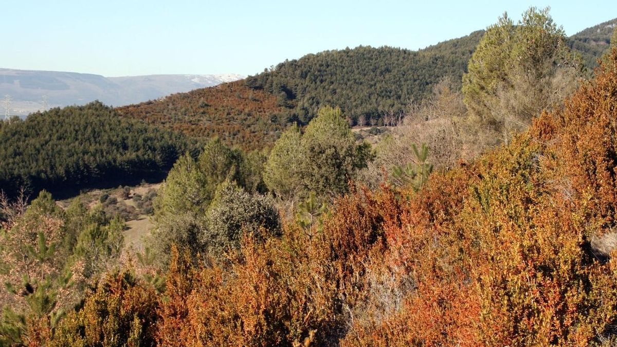 Se necesitan voluntarios para limpiar este sábado el monte Ezkaba
