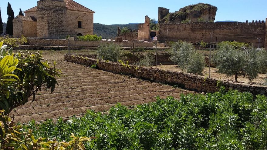 Socovos (Albacete)