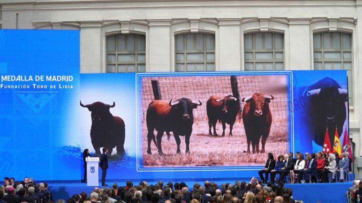 El PP desliza una subvención a los toros en sus propias enmiendas al presupuesto para 2026 del Ayuntamiento de Madrid