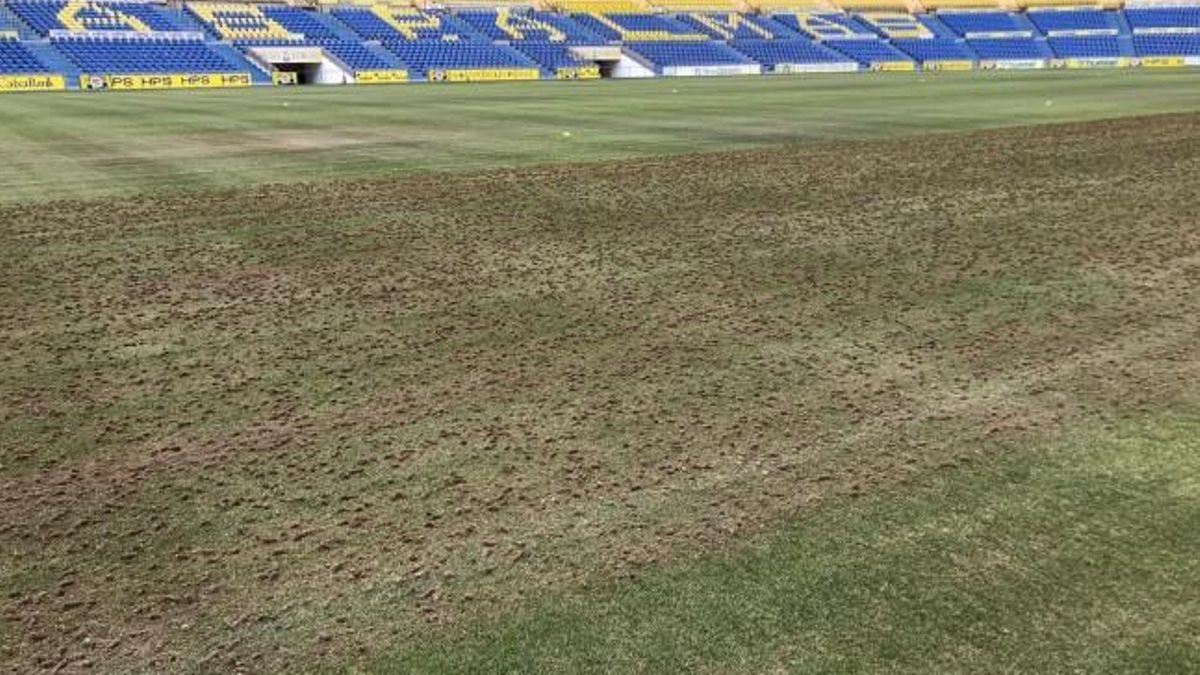 Resiembra del césped del Estadio Gran Canaria