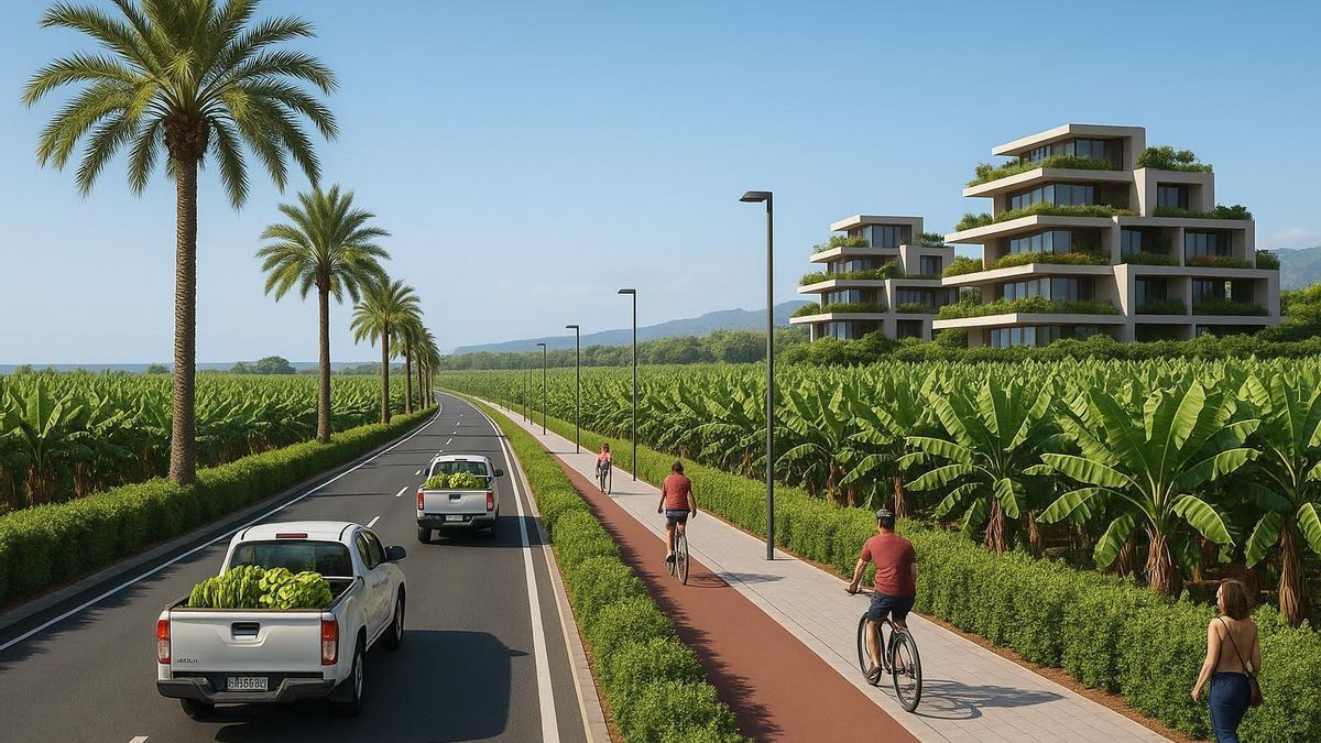 El Cabildo aprueba la tramitación del expediente del Instrumento de Planificación Singular Turística para la ordenación del litoral aridanense