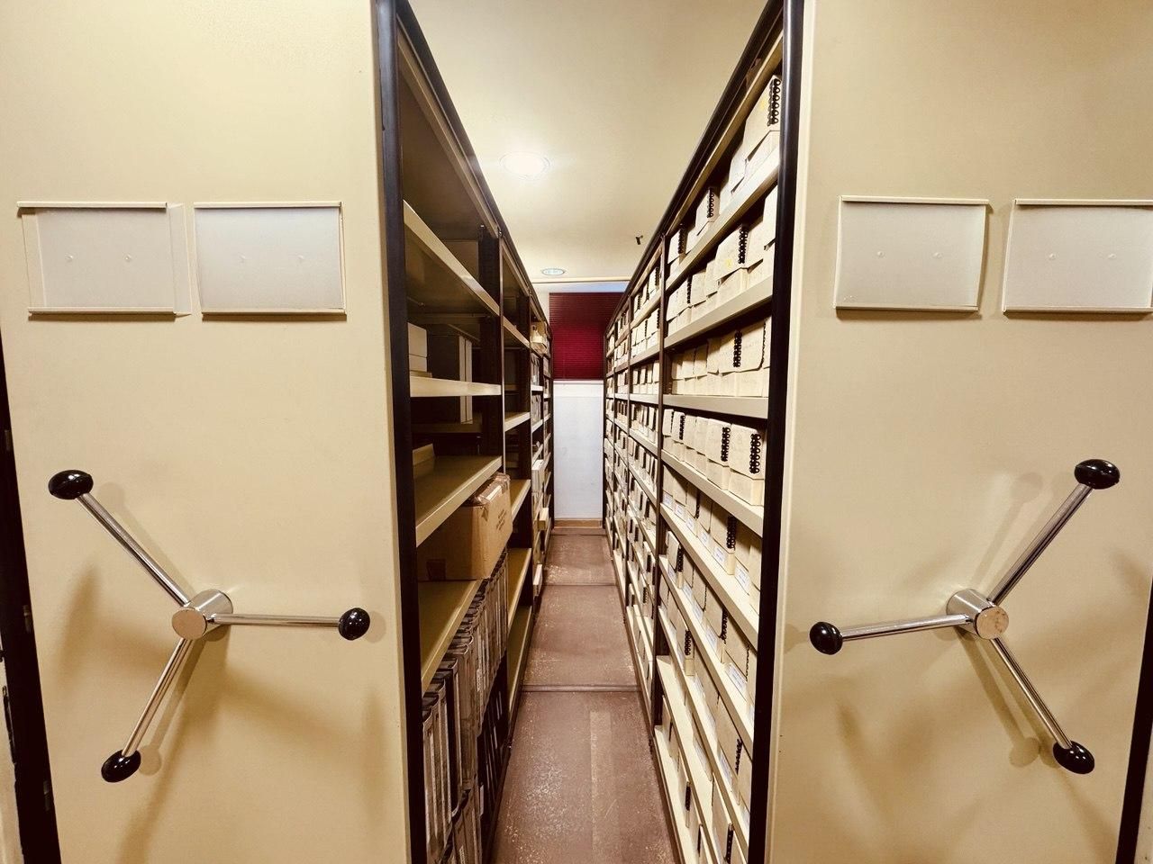 Estanterías en las que se almacenan los ejemplares