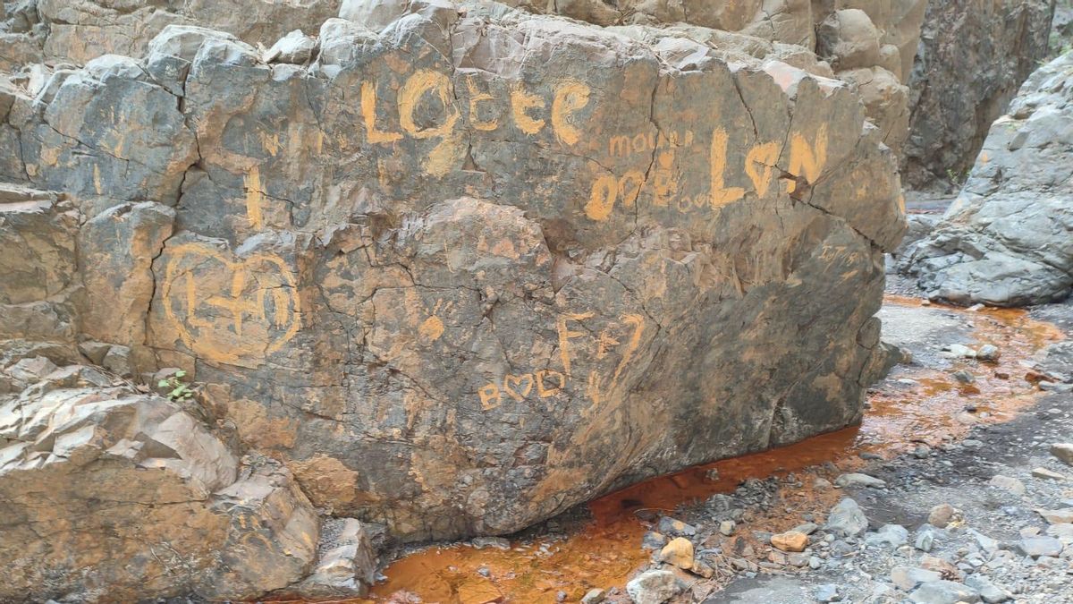 Pintadas en el entorno de la 'Cascada de Colores' del Parque Nacional de La Caldera de Taburiente.