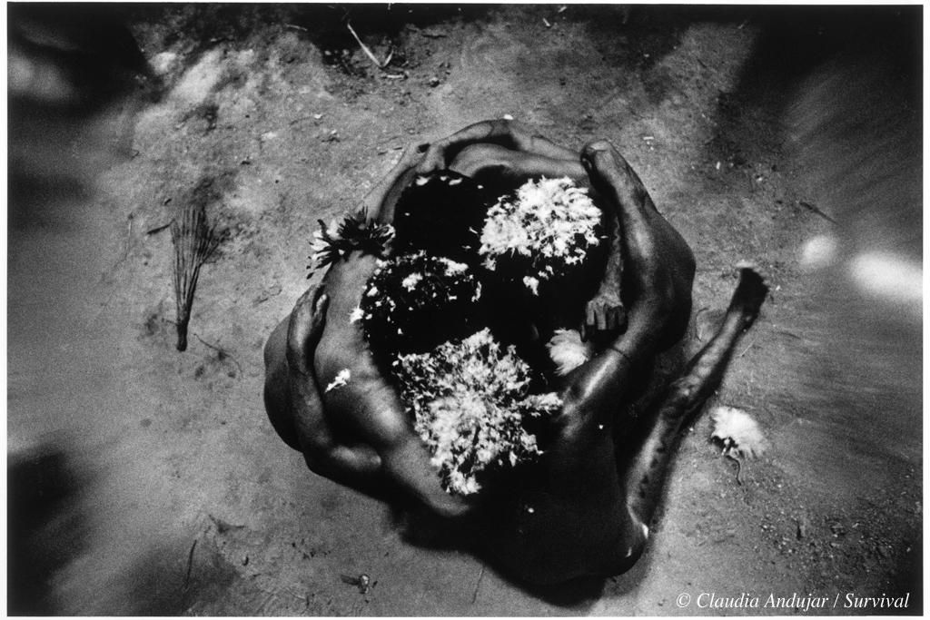 La mayoría de los rituales yanomamis están floreciendo: Survival lideró una exitosa campaña internacional por la demarcación de su territorio ©Claudia Andujar / Survival International