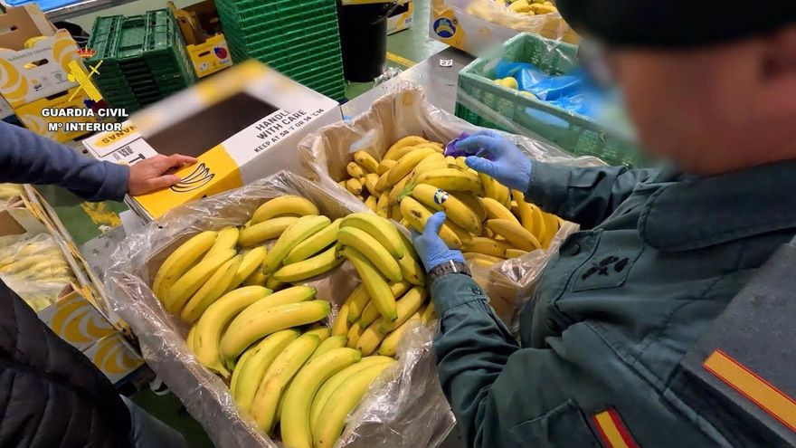 Vendía banana como si fuera Plátano de Canarias: la Guardia Civil investiga a una empresa en Alicante