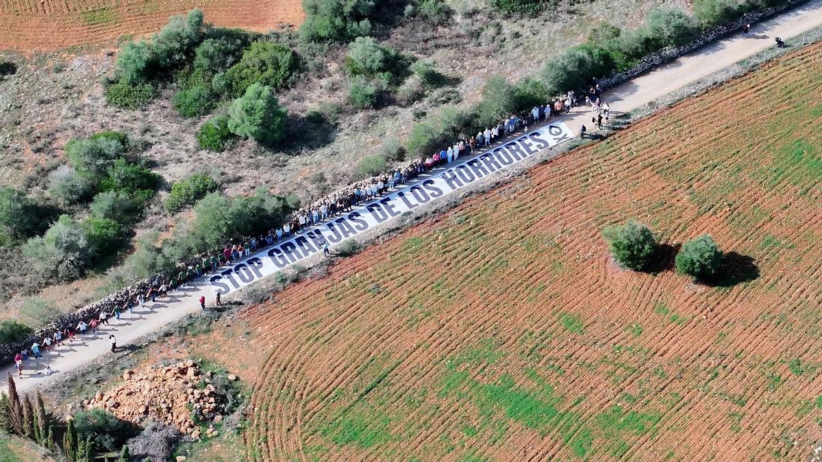 Decenas de vecinos hacen una cadena humana contra una nueva granja avícola de una polémica empresa de Mallorca